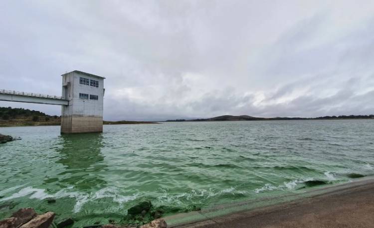 Alerta naranja por la presencia de cianobacterias en el Dique Paso de las Piedras