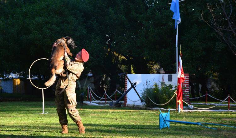 Visita didáctica en la Agrupación Perros de Guerra en Puerto Belgrano