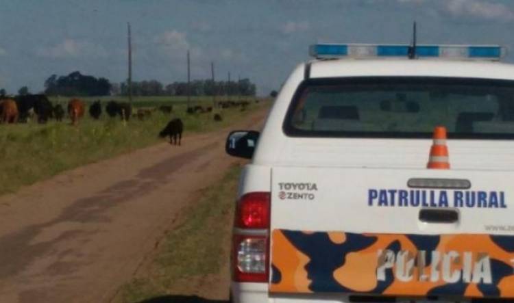 Aprehendieron a 4 hombres que iban en un auto con 2 Ñandúes y 4 Galgos