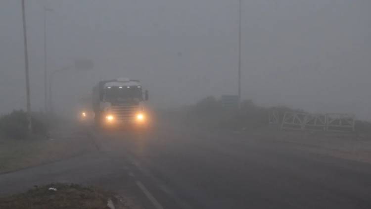 Atención al tránsito: alerta por niebla en Coronel Rosales y todo el Sudoeste Bonaerense
