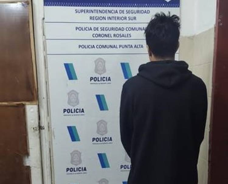 Dos hombres fueron aprehendidos en distintos hechos de violencia familiar y desobediencia
