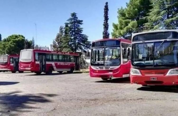 Compañia Puntaltense SA cerró y desde hoy viernes no hay servicio de las líneas 502, 504 y 504bis