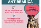 El miércoles 28 se llevará a cabo una nueva campaña de vacunación antirrábica 