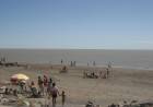 Se realizó una jornada pro ambiente de limpieza y recolección en el Balneario Arroyo Pareja