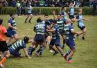 Rugby: Punta Alta Rugby Club jugó la final del Torneo Clasificatorio al TRP “C” 2023