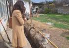 El Municipio de Coronel Rosales comenzó obra de mejoras en la Escuela Primaria N°3