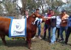 El toro Gran Campeón Angus Regional es de Bajo Hondo