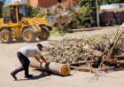 Se realizaron trabajos de limpieza en Zona Norte