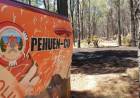 Principio de incendio en el Bosque Encantado de Pehuen Co