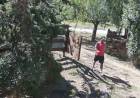 Un delincuente ingresó a robar a un departamento de turistas en Pehuen Co