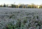 Ola polar en la Provincia: ¿Podría nevar en Punta Alta durante el fin de semana?