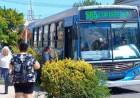 Líneas locales modificarán sus frecuencias durante las dos semanas de receso invernal