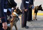 El Municipio de Coronel Rosales entregó materiales de trabajo para la Agrupación Perros de Guerra