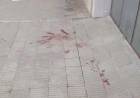 Vecinos y protectora reiteran reclamos por acumulación de animales e insalubridad