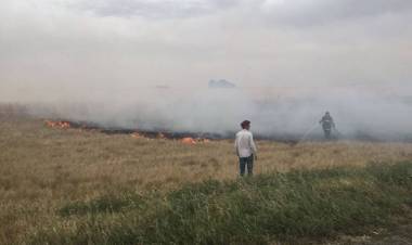Protección Ciudadana recuerda prohibición de quema de pastizales para la prevención de incendios forestales 