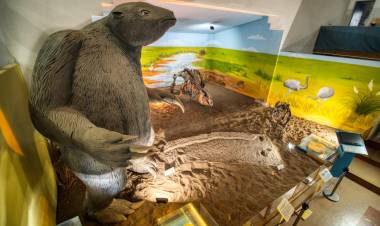 Un día como hoy, pero de 1832, llegaba a Punta Alta el naturalista Charles Darwin