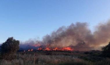 Puerto Belgrano: El incendio en Baterías ya se encuentra controlado