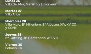 Así será el cronograma de fumigación en la última semana del año 2022