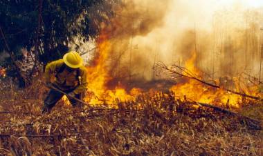 Consejos de Protección Ciudadana para prevención de incendios  