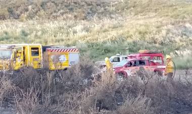 Bomberos de Pehuen Co prestaron apoyo en un incendio que arrasó unas 50 hectáreas de campo en Monte Hermoso