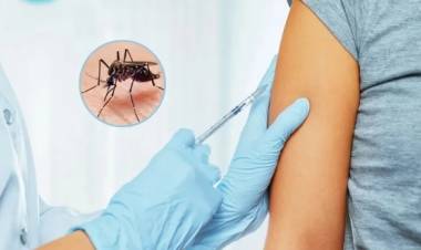 La Anmat aprobó el uso de una vacuna contra el dengue