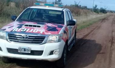 Tres personas fueron detenidas por la caza de un carpincho
