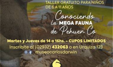 El Museo Municipal Darwin dictará talleres para niños en vacaciones de invierno