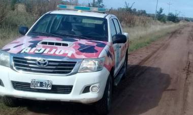 En un allanamiento se secuestraron 22 plantas de marihuana