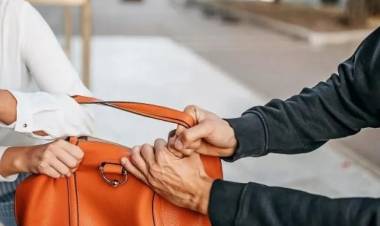 Un delincuente robó una cartera a una mujer, lo persiguieron y lo detuvieron
