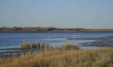 Se realizará un taller sobre "Villa del Mar y las aves"