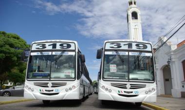 Desde hoy la línea 319 funcionará con frecuencia de los días sábados