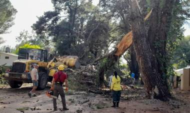 Diputados piden al Gobernador Axel Kicillof ayuda para Coronel Rosales y Bahía Blanca