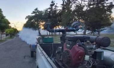 Cronograma de fumigación para la última semana del 2023