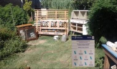 Allanamiento positivo en una vivienda