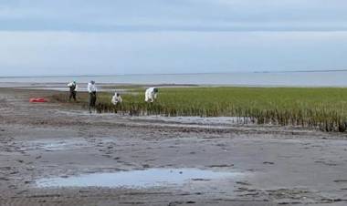 Continúan las tareas de limpieza en la ría tras los derrames de petróleo