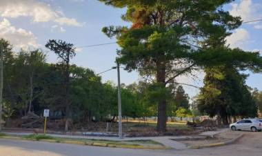 Vidal: "El temporal agravó el estado de abandono de las instituciones"