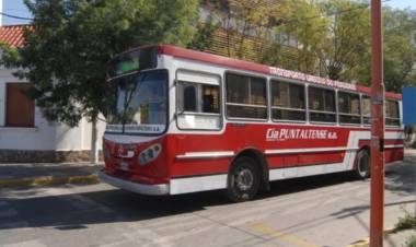 Habrá un paro de líneas de colectivos en Punta Alta