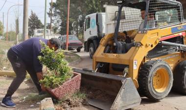 El Municipio de Coronel Rosales retiró las macetas del boulevard Avellaneda