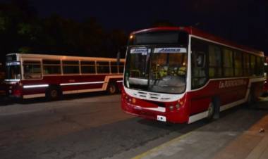 Empresas de colectivos en alerta por el proyecto de bajar el valor del boleto en Punta Alta