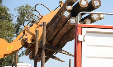 Vecinos aseguran que colocan postes de palmera pese a prohibición