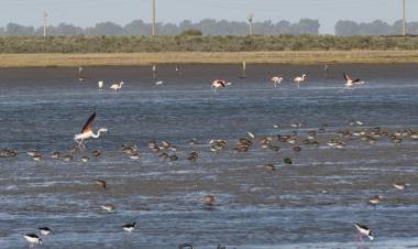 Se realizará un nuevo censo de residuos y jornada de limpieza en el humedal de Arroyo Pareja