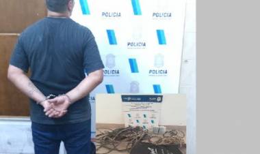 Un delincuente fue aprehendido por hurto