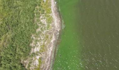 ABSA informa que habrá baja presión o falta de agua en Punta Alta por incremento de algas en el dique