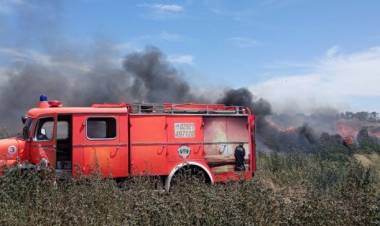 Desde el arranque de la temporada se registraron más de 10 incendios en el basural de Pehuen Co