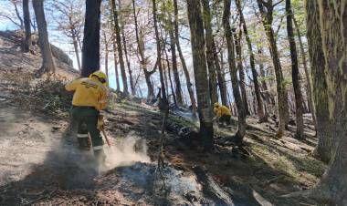 Brigadistas forestales de la Armada Argentina regresaron a la Base Naval Puerto Belgrano