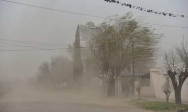 Alerta Amarillo por vientos fuertes del Sur para este jueves en Coronel Rosales