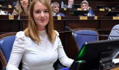 Diputados aprobó el proyecto de ley de los Acompañantes Terapéuticos