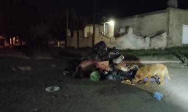 Vecinos de Villa Arias afirman que falta más presencia del Municipio en la localidad