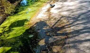 El Municipio emitió un comunicado sobre los desbordes cloacales de Murature al 700