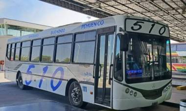 La Línea 510 actualiza sus horarios de Temporada Baja entre Punta Alta y Pehuen Co